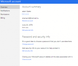 Microsoft account_2013-04-06_20-24-56.png